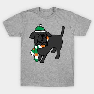 Cute Irish Dog on St Patricks Day T-Shirt